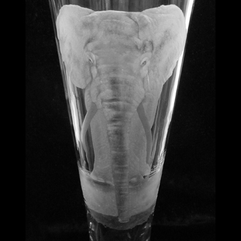 Bild: Elefant